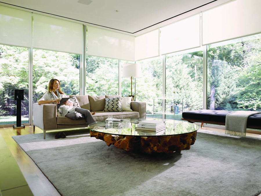 Secure Your Home with Savant Home Automation